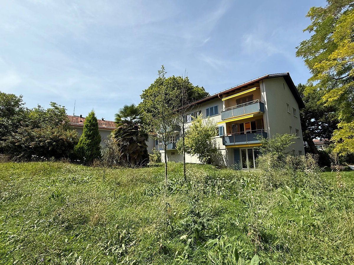 Präzise Montage Fensterelemente nach Mass nicht ab Stange
