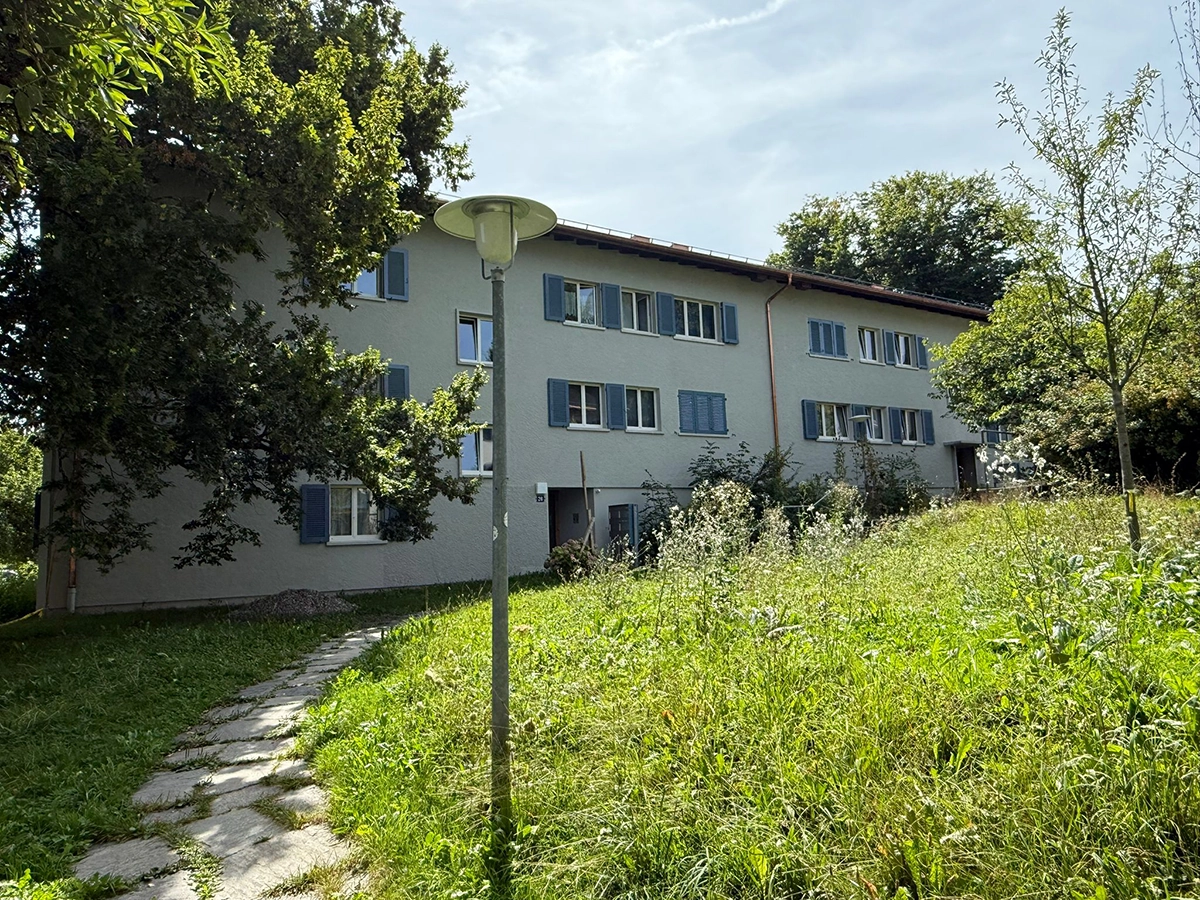 Saubere und professionelle Entfernung der alten Elemente und Fenster
